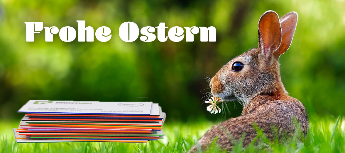 Visitenkarten mit Farbschnitt drucken lassen